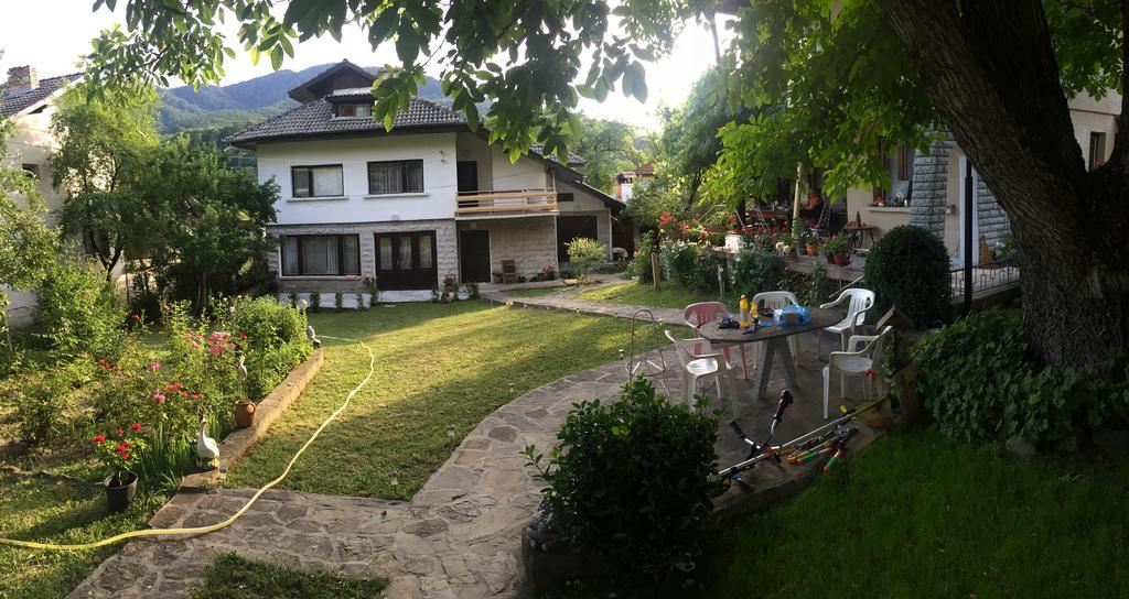 Luylyana Guesthouse Ribarica Exterior foto
