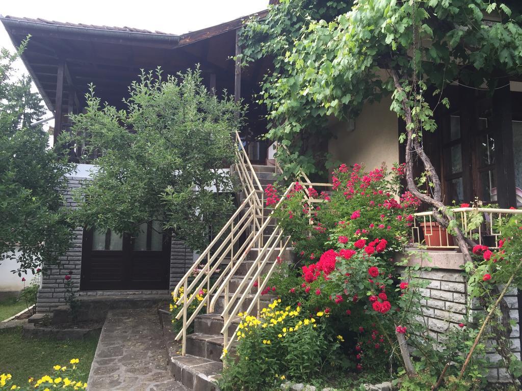 Luylyana Guesthouse Ribarica Exterior foto