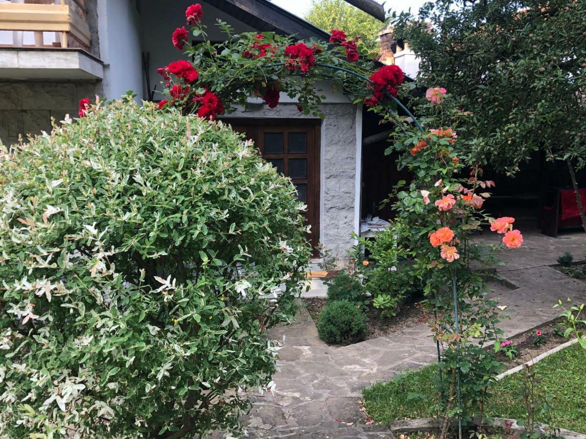 Luylyana Guesthouse Ribarica Exterior foto